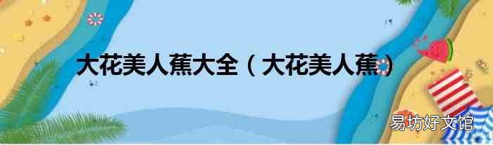 大花美人蕉 大花美人蕉大全