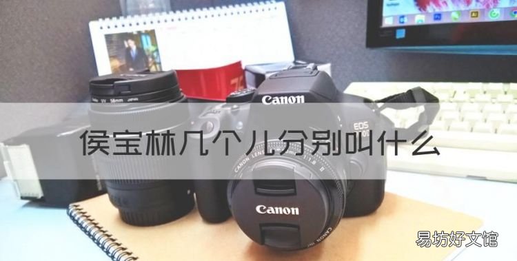 侯寶林幾個兒分別叫什么，著名相聲大師侯寶林具有一種獨特的