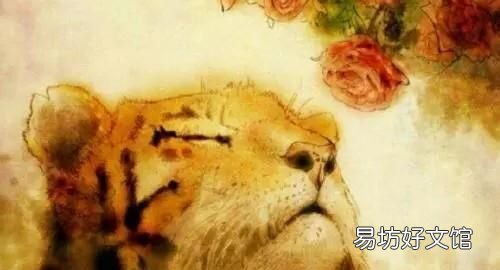 心有猛虎細嗅薔薇圖片 心有猛虎細嗅薔薇是什么意思
