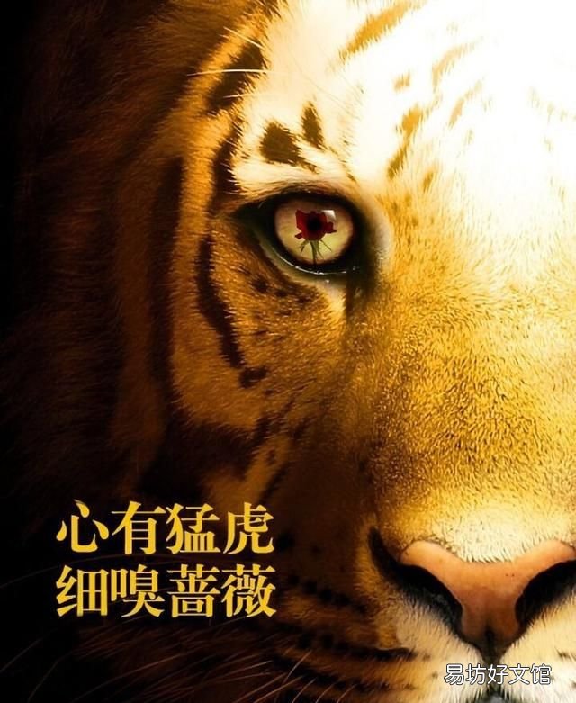 心有猛虎細嗅薔薇圖片 心有猛虎細嗅薔薇是什么意思