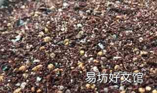 山地玫瑰种子播种方法 山地玫瑰繁殖方法