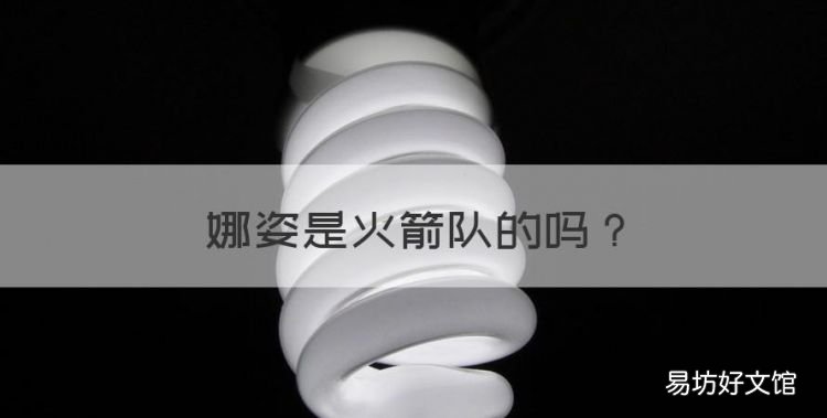 娜姿是火箭队的,神奇宝贝火箭队四大干部是谁?