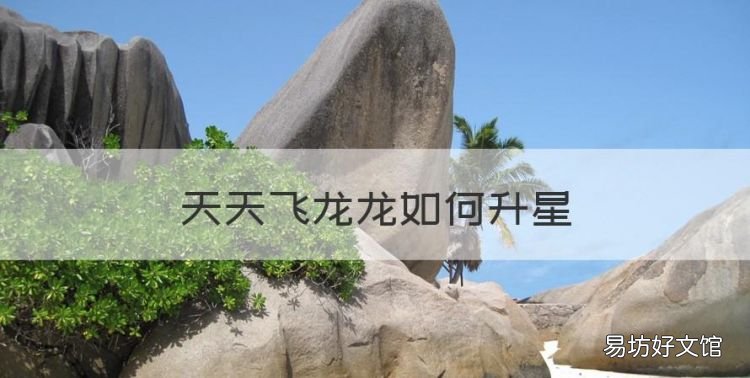 天天飞龙龙如何升星,萌龙大乱斗无限钻石版下载免费