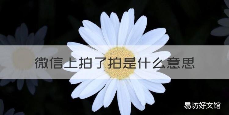 微信上拍了拍是什么意思，微信的拍了拍是什么意思