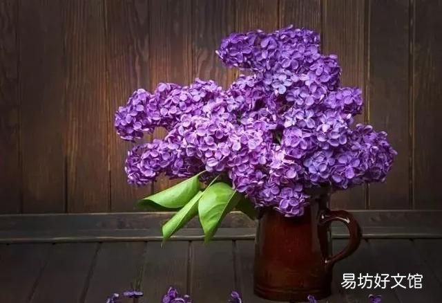 丁香花的唯美十首詩 十首丁香花的優(yōu)美古詩詞賞析
