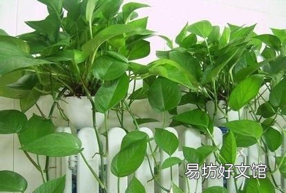 冬季供暖最适宜的湿度是 冬季供暖后如何增加室内湿度