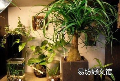 冬季供暖最适宜的湿度是 冬季供暖后如何增加室内湿度