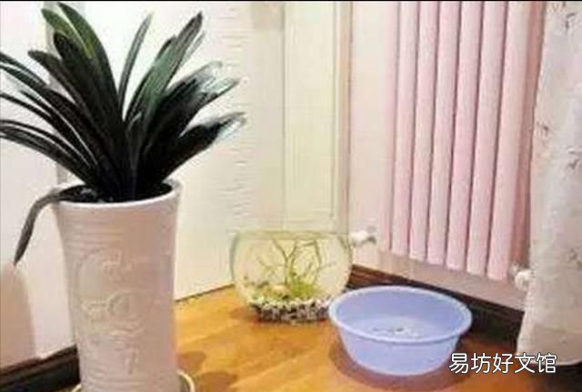 冬季供暖最适宜的湿度是 冬季供暖后如何增加室内湿度