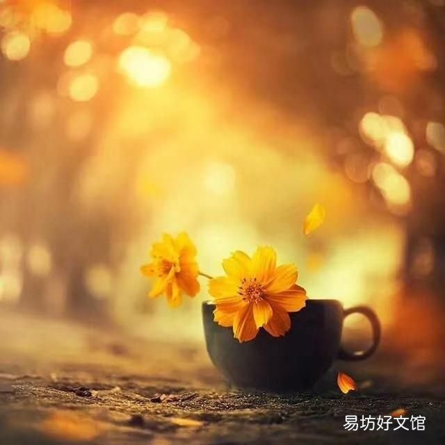 冬季供暖最适宜的湿度是 冬季供暖后如何增加室内湿度