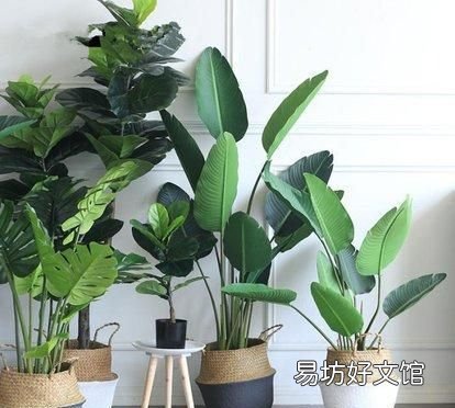 冬季供暖最适宜的湿度是 冬季供暖后如何增加室内湿度