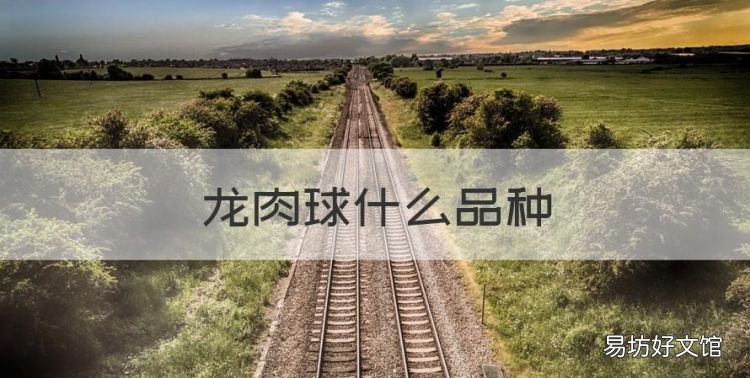 龙肉球什么品种,龙肉球是什么品种