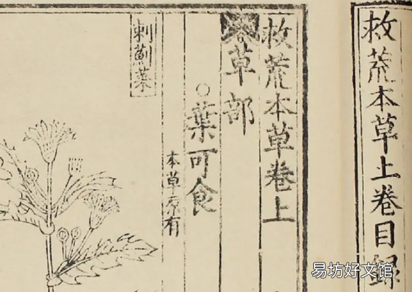 救荒本草是什么代的著作,救荒本草是哪个朝代的人写的