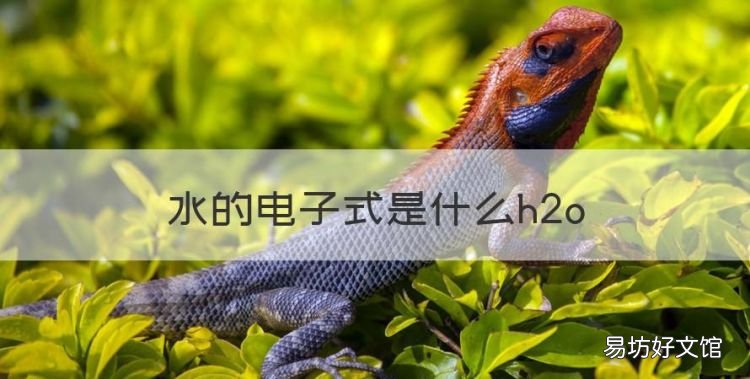 水的電子式是什么h2o，水的電子式是什么鍵