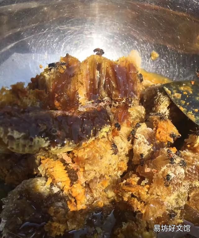 花粉和蜂蜜混合有區別嗎,花粉和蜂蜜誰更好