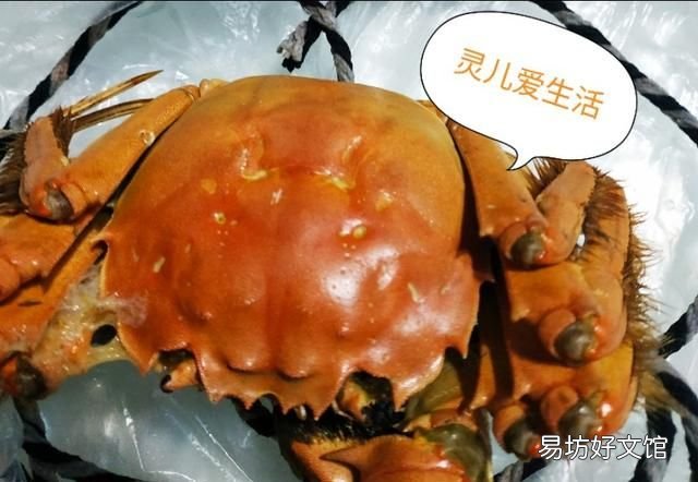 如何吃干净一只大闸蟹里的全部蟹肉呢