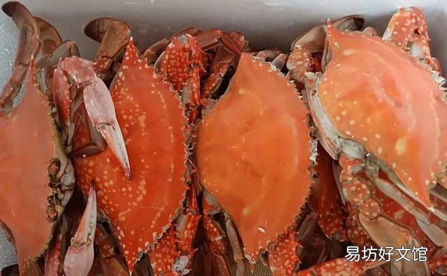 如何吃干净一只大闸蟹里的全部蟹肉呢