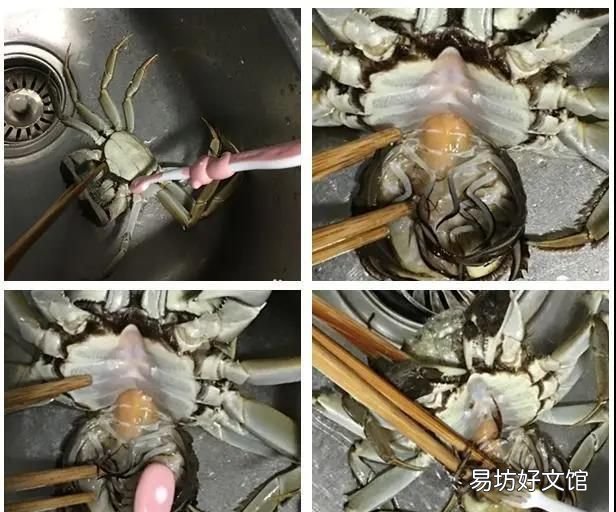 大閘蟹里面的螃蟹的清洗方法 什么是大閘蟹螃蟹怎么清洗