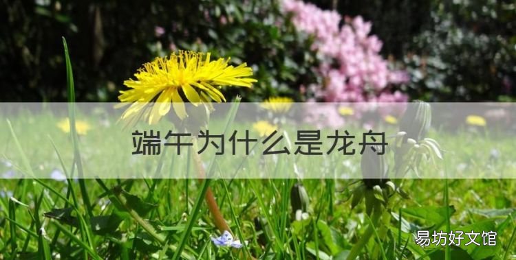 端午为什么是龙舟，端午节赛龙舟的寓意是什么四字词语