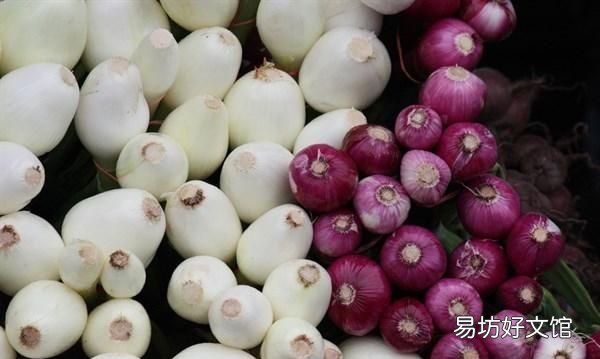 生姜发芽了有毒吗还能吃吗 生姜发芽了还能不能吃