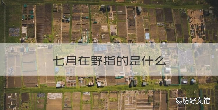 七月在野指的是什么,诗经 七月在野 八月在宇 九月在户