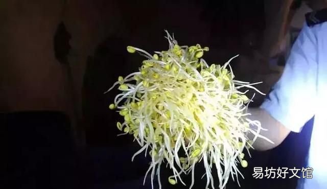 菜市场的五种最毒蔬菜你经常吃吗