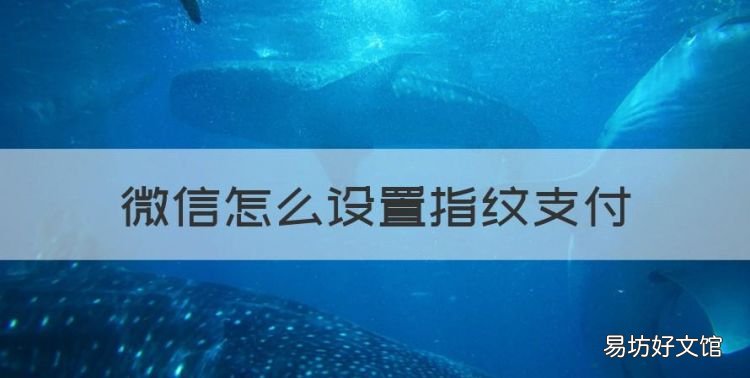 微信怎么设置指纹支付，微信支付怎么设置用指纹支付