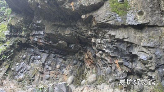 贵州崖壁现大量石头蛋,贵州梵净山崖壁
