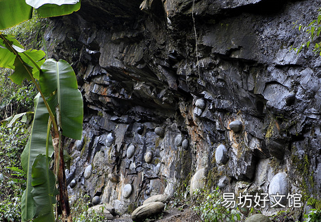 贵州崖壁现大量石头蛋,贵州梵净山崖壁