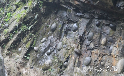 贵州崖壁现大量石头蛋,贵州梵净山崖壁
