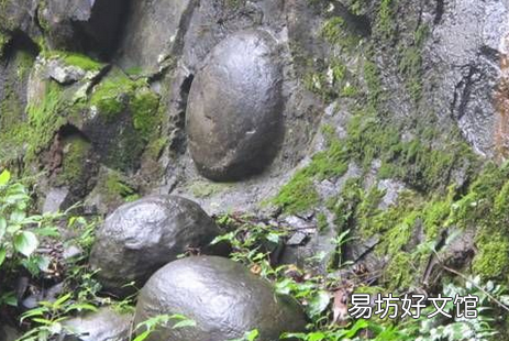 贵州崖壁现大量石头蛋,贵州梵净山崖壁