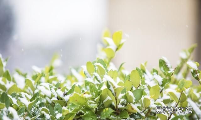 冬至谚语告诉你今年春节冷不冷