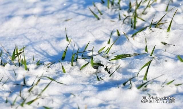 冬至谚语告诉你今年春节冷不冷