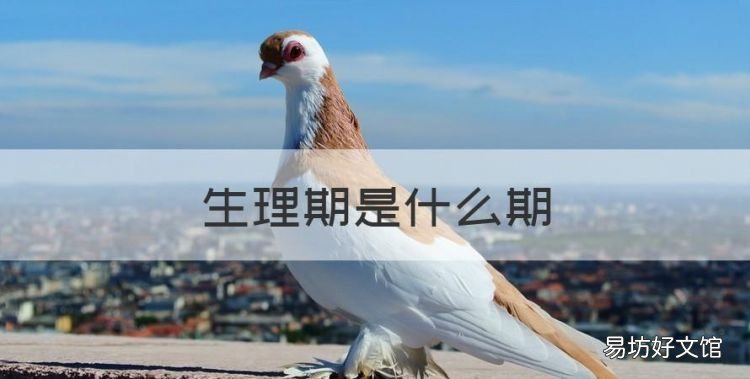 生理期是什么期,生理期最后一天是指什么时候