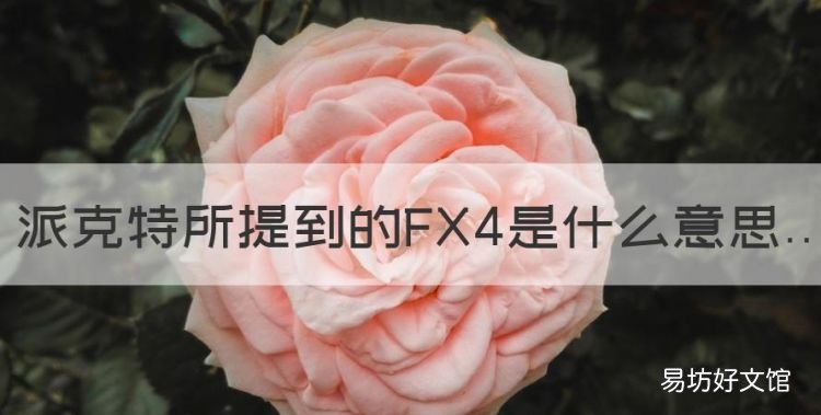 福特越野多少钱新款,派克特所提到的FX4是什么意思