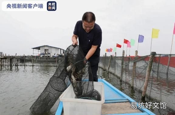 大闸蟹什么时候最适合吃 正宗大闸蟹什么时候吃最好