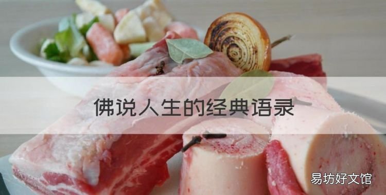 佛说人生的经典语录,佛说人生经典语录大全