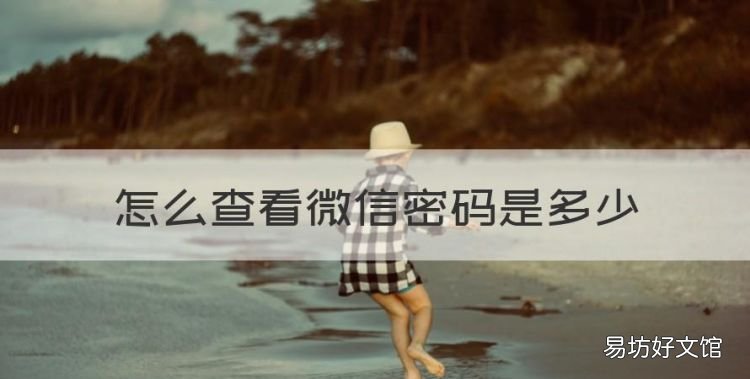 如何查看微信登录密码，怎么查看微信密码是多少