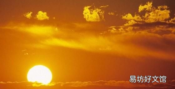请问朋友们,向日葵为什么会围着太阳转呢