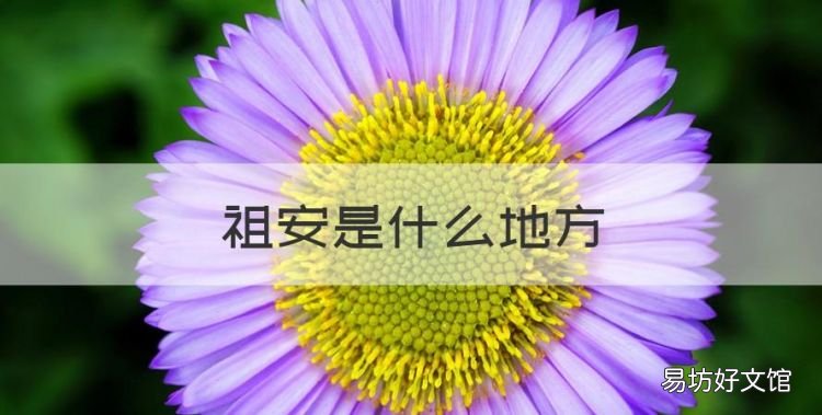 祖安是什么地方