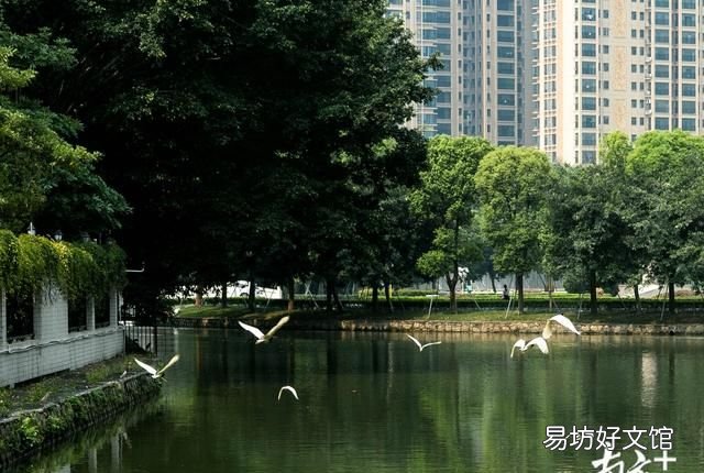 潮州市老市区在哪里 潮州中心城市老市民