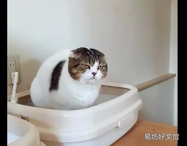 矿泉水上的保质期是瓶子的保质期不是水的保质期