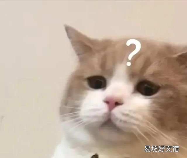 矿泉水上的保质期是瓶子的保质期不是水的保质期