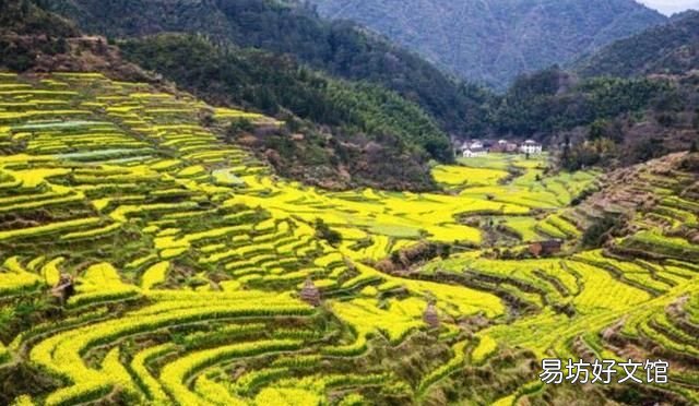 在民间人们又把正月初八叫谷日节