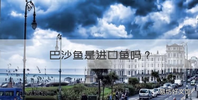 巴沙鱼是进口鱼，2021年超市卖的巴沙鱼能吃吗