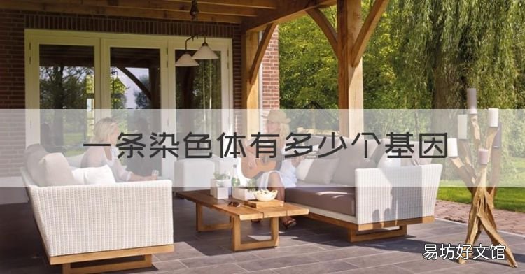 一條染色體有多少個基因，人的一個染色體上大約有多少的基因組成