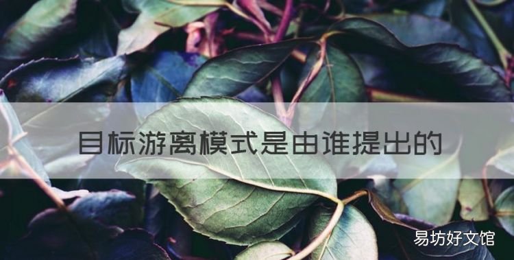 什么叫目的游离评价模式，目标游离模式是由谁提出的