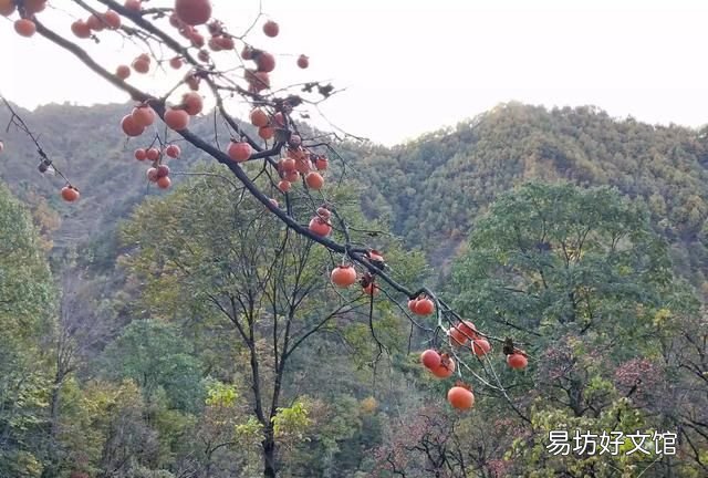 你们家乡有竹子吗?可以做成什么产品呢