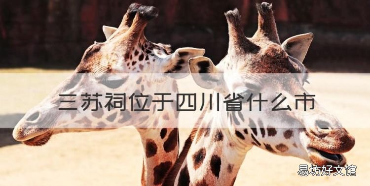 三苏故里,三苏祠位于四川省什么市