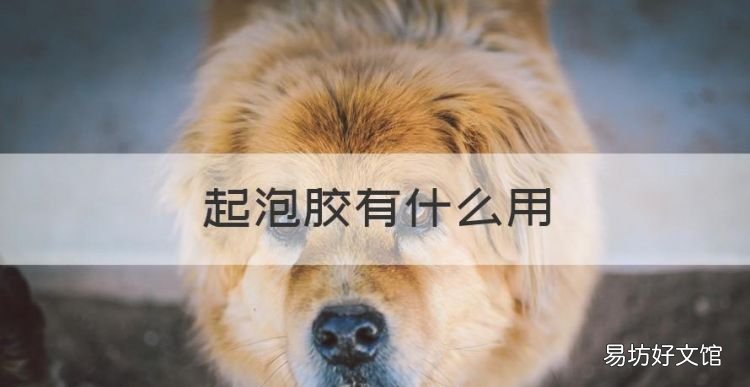 起泡胶有什么用,起泡胶加液体胶有什么作用呢