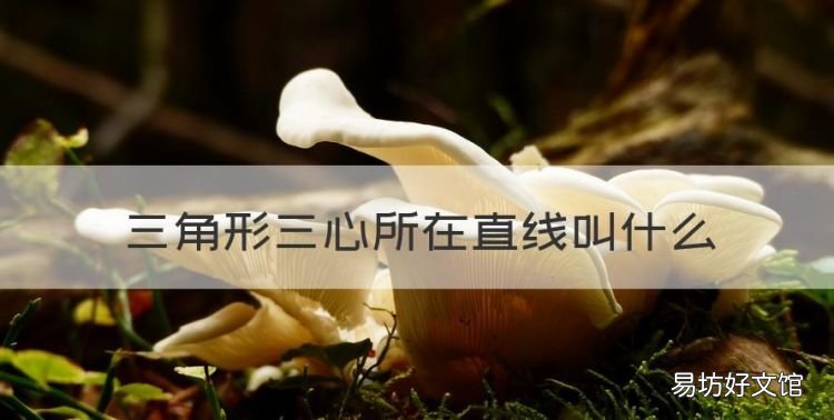 三角形的四心概念,三角形三心所在直线叫什么